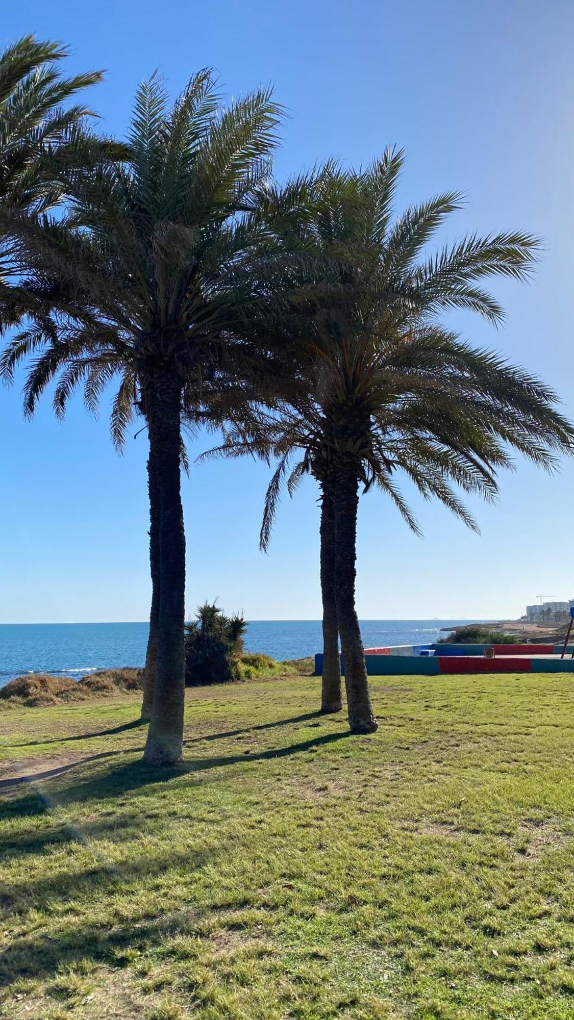 Beachfront - Mar Azul Torrevieja